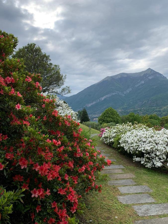 Il Poggio Di Bellagio Aparthotel Kültér fotó